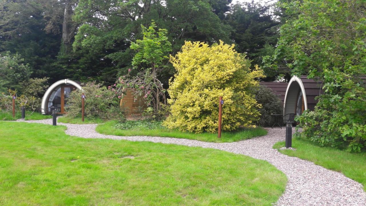 Priory Glamping Pods And Guest Accommodation Cill Airne Esterno foto