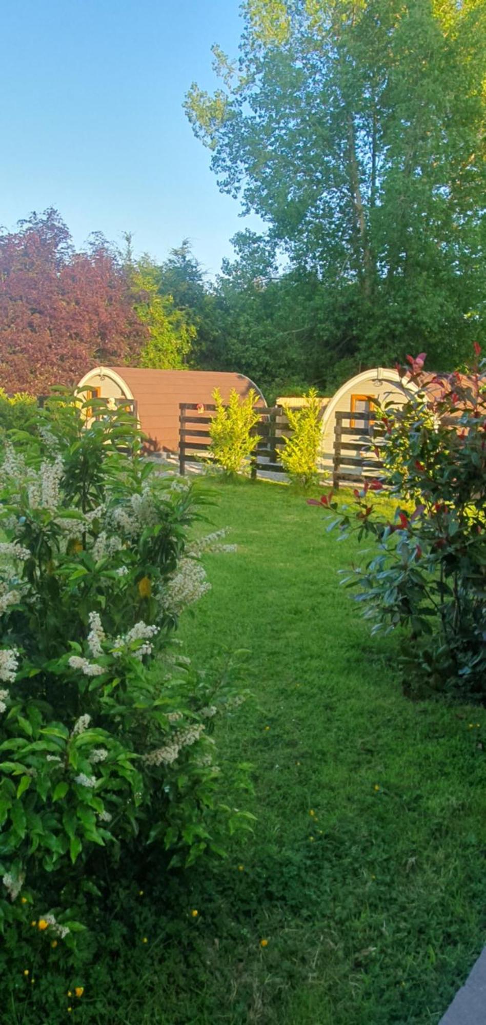 Priory Glamping Pods And Guest Accommodation Cill Airne Esterno foto