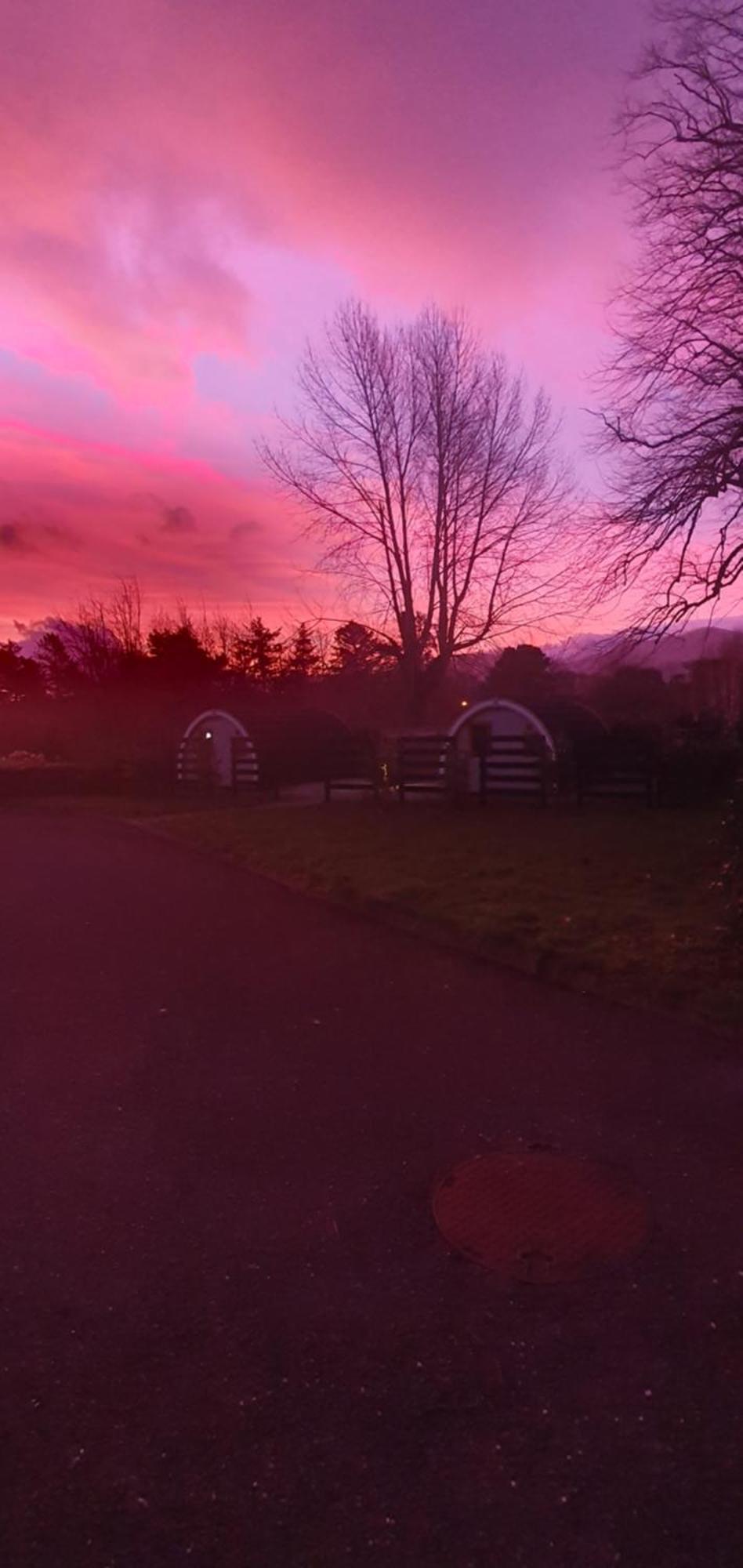 Priory Glamping Pods And Guest Accommodation Cill Airne Esterno foto