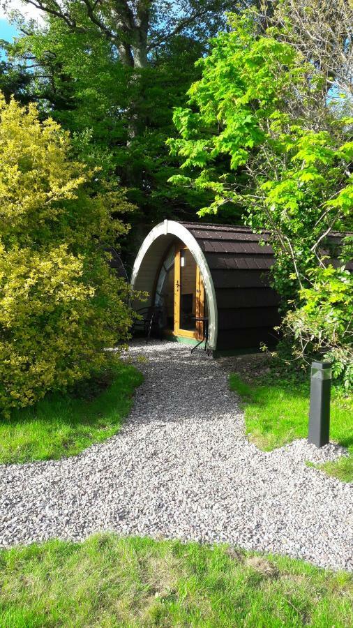 Priory Glamping Pods And Guest Accommodation Cill Airne Esterno foto