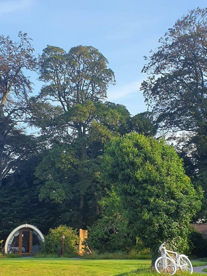Priory Glamping Pods And Guest Accommodation Cill Airne Esterno foto