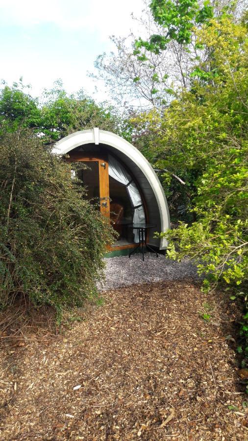 Priory Glamping Pods And Guest Accommodation Cill Airne Esterno foto